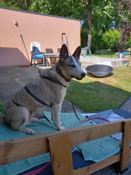 Frieda sucht ihr Glück