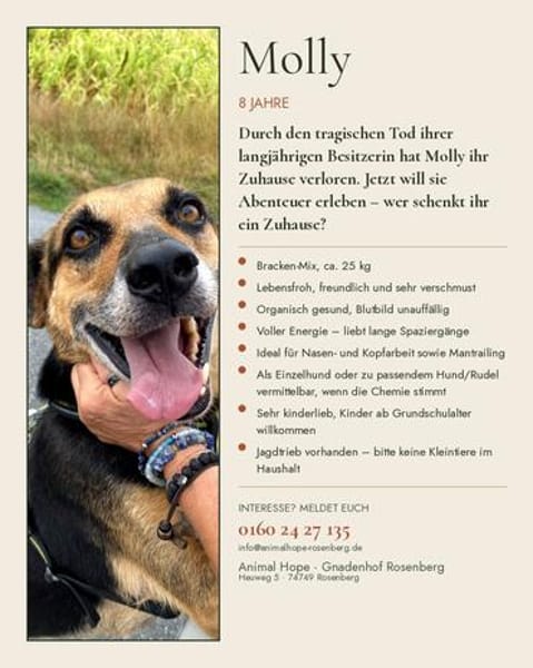 MOLLY - interessiert und verschmust