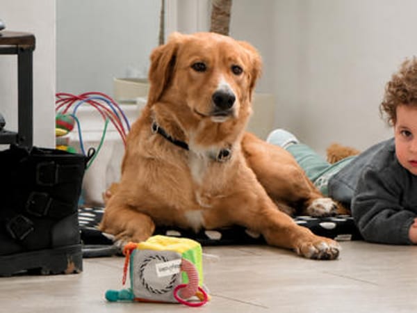 Bei wem darf Pepi/Teddy endlich ankommen?