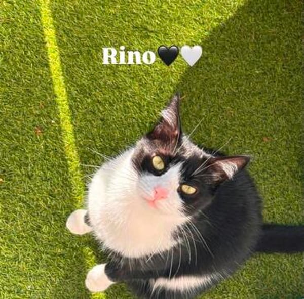 Rino& Felix m ~3 j möchten zusammen bleiben