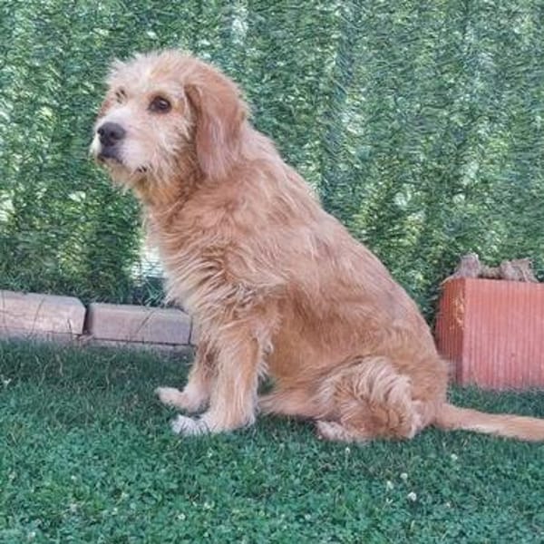 Barry