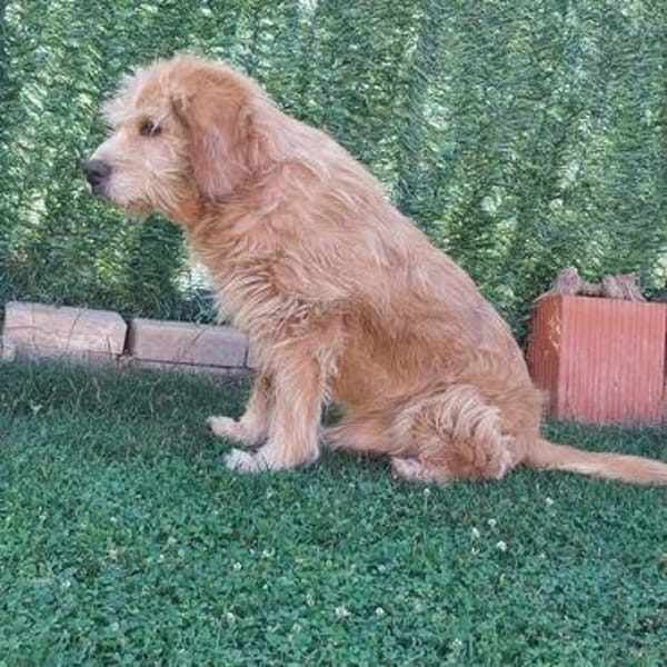 Barry