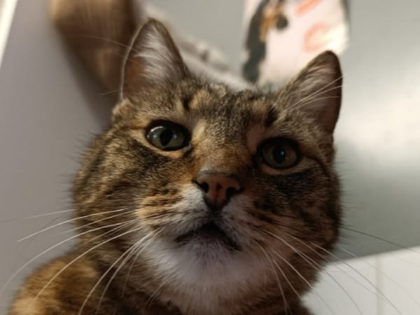 Peaky