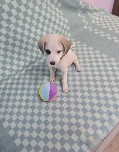 Kleiner Zuckerschock gefällig? Hier kommt Hailey!