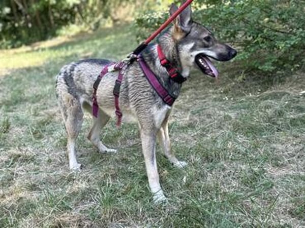 Freundliche, schüchterne Nika sucht Dich