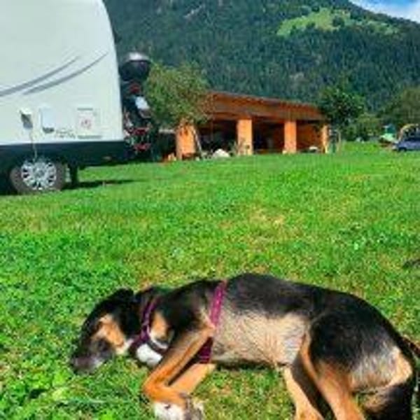 Majella die Hübsche
