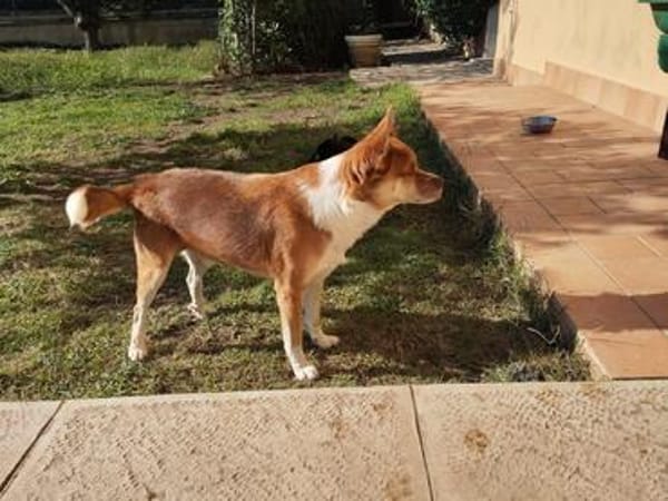 Pongo 💙 💙 💙  hofft auf 2. Chance 🙏