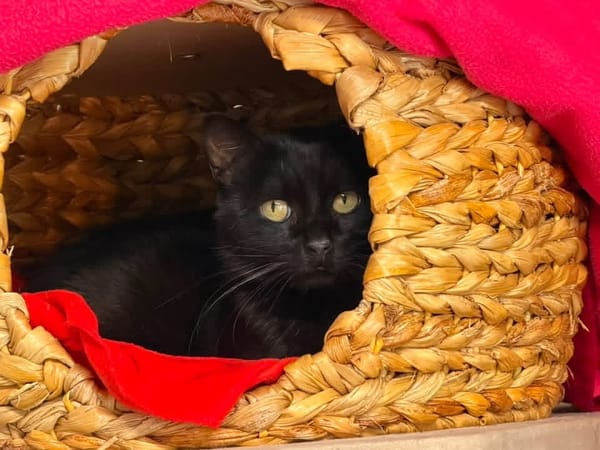 NOUGATI en SOS