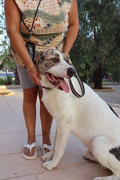 DUDLEY (Martina)