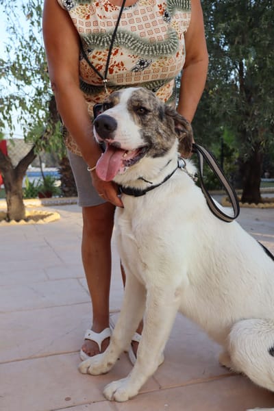 DUDLEY (Martina)