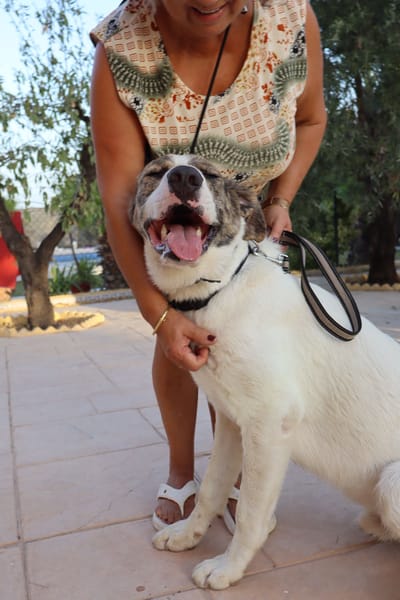 DUDLEY (Martina)