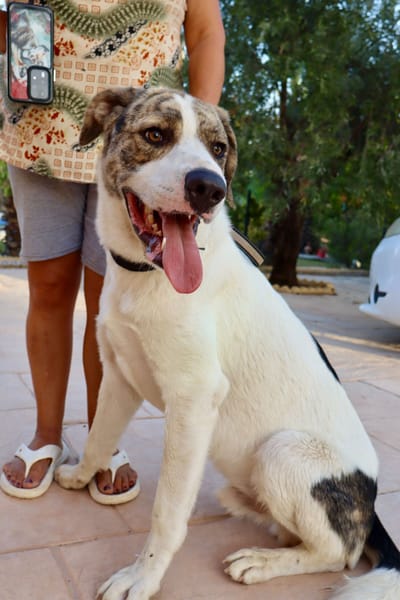 DUDLEY (Martina)
