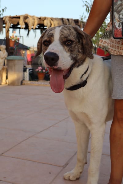DUDLEY (Martina)