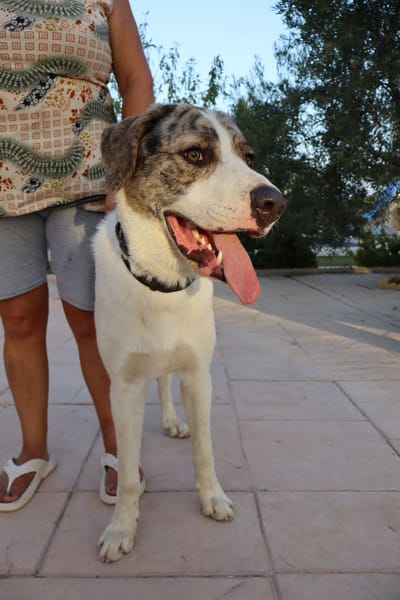 DUDLEY (Martina)