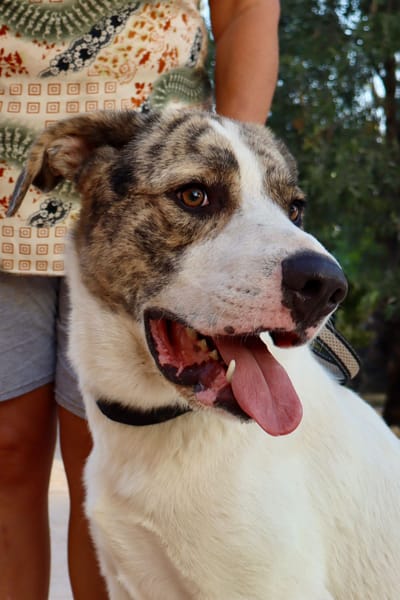 DUDLEY (Martina)