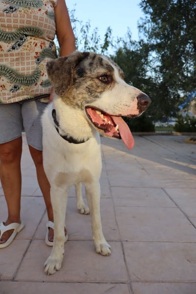 DUDLEY (Martina)
