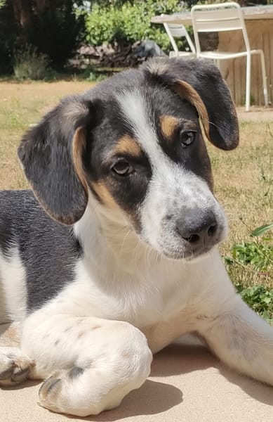MAÏLO