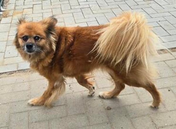 Elly sucht dringend ihre eigene Familie