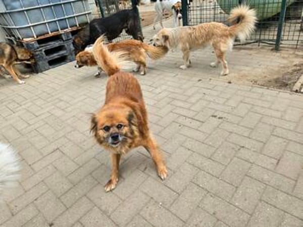 Elly sucht dringend ihre eigene Familie