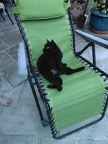 MINOU