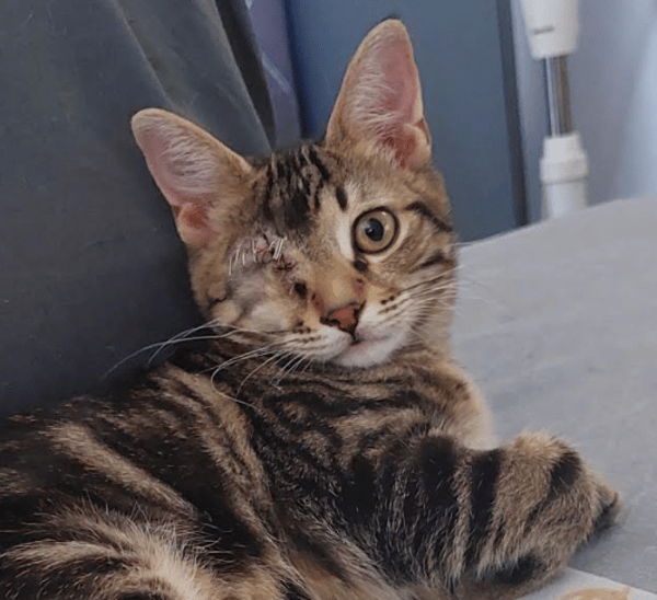 LEYKO
