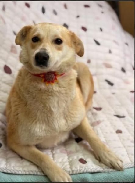 Holly sucht ihre Menschen