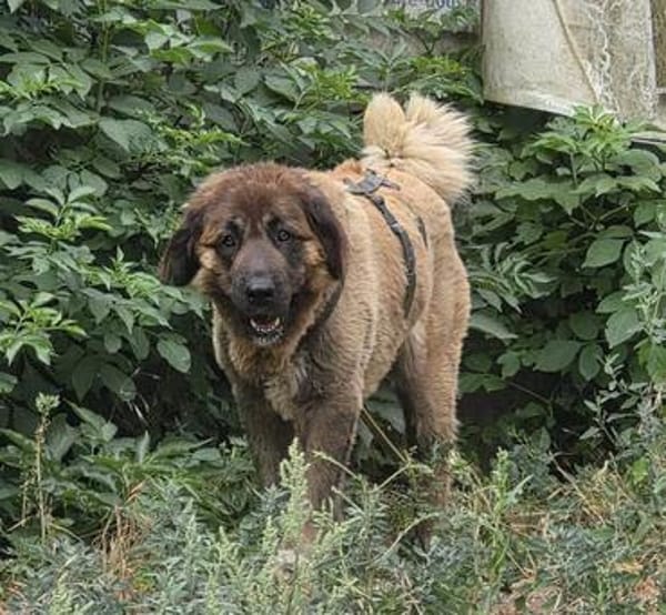 Kessidy, wartet in Rheinland Pfalz