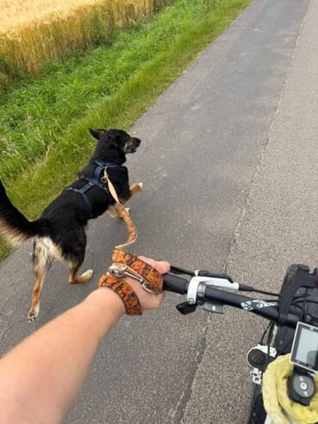 MAX in 50170 Kerpen sucht ein PS