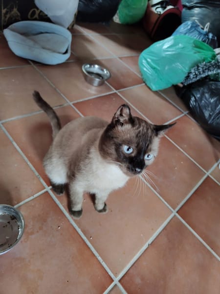 HERCO