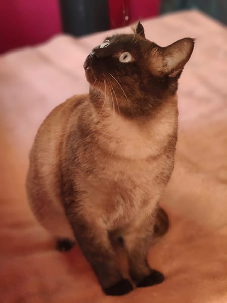 HERCO