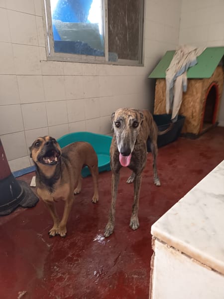 ATIZA (Hogar De paz)