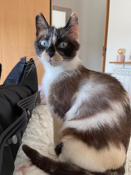 MULAN