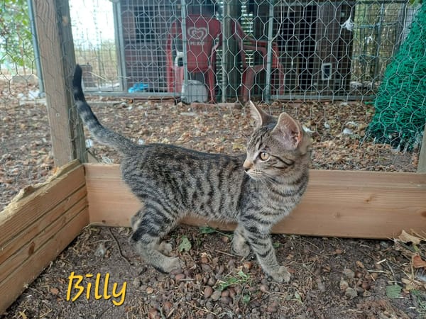 BILLY et BOY
