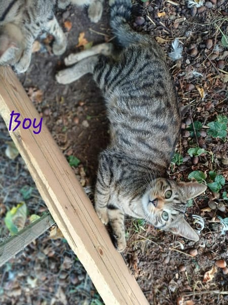 BILLY et BOY