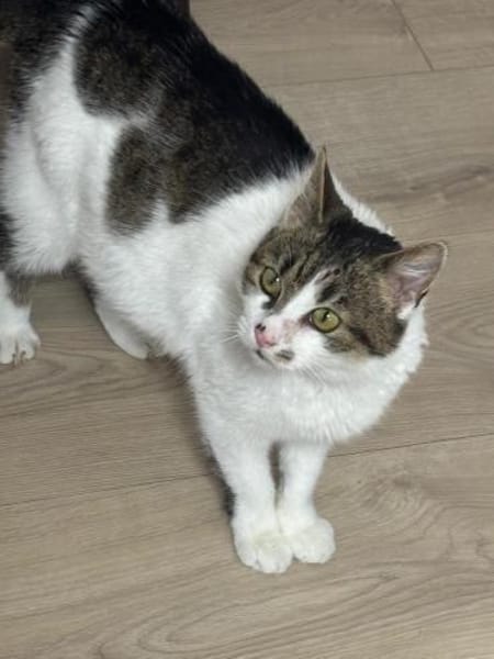 Opa Kostek sucht sein Zuhause