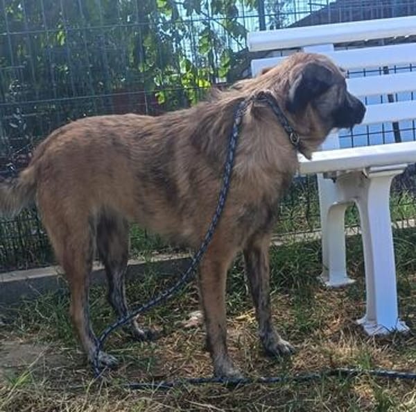 Ella möchte so gerne ein liebevolles Zuhause