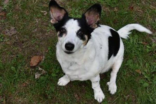 Kleine MAVI Raum DUISBURG sucht ♥‼