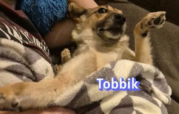 Vermittlungshilfe Tobbik; Unternesselbach