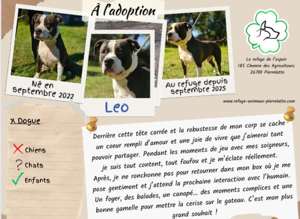 Léo