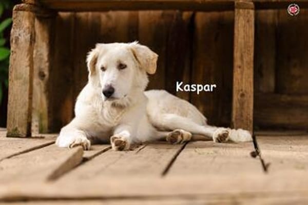 KASPAR