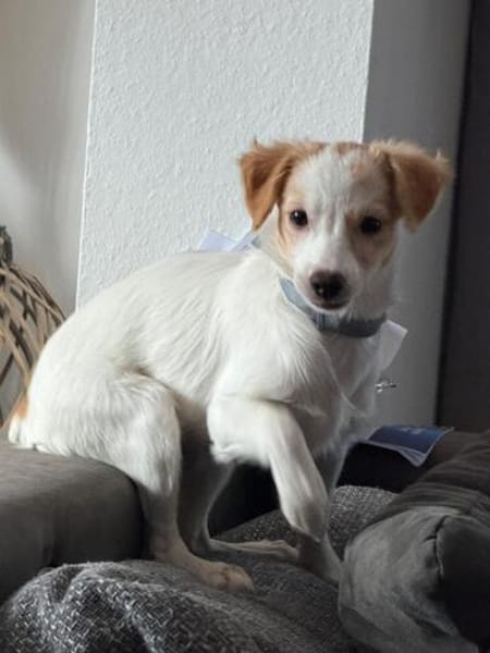 Wanda niedliches kleines Mädchen