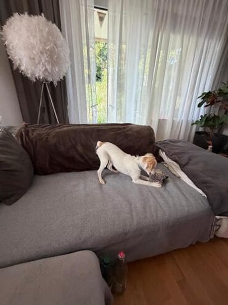 Wanda niedliches kleines Mädchen
