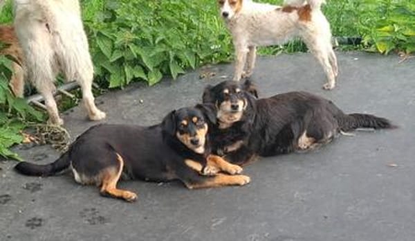 Unser Doppelpack: Lisa & Antonia