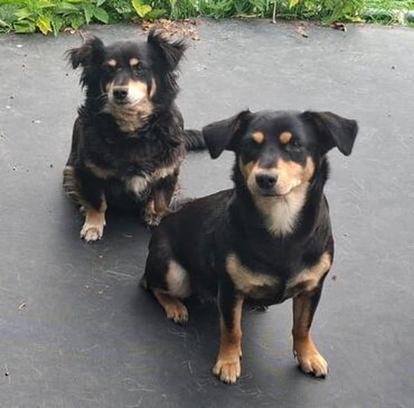 Unser Doppelpack: Lisa & Antonia