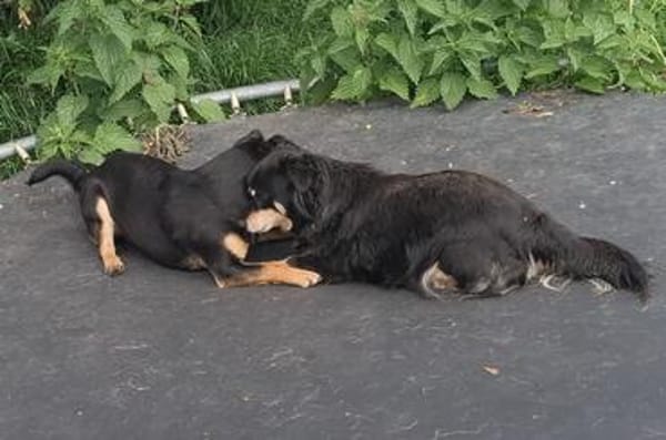 Unser Doppelpack: Lisa & Antonia
