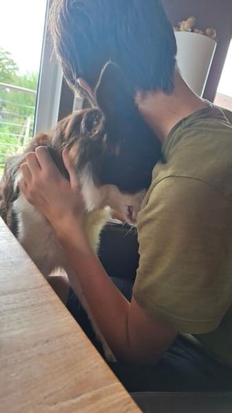 Schmusige Olivia7 sucht ihr Zuhause
