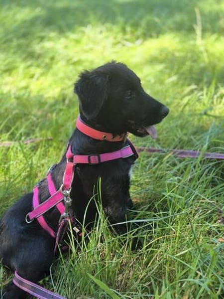 Kleine Alessia sucht ihr für immer Zuhause