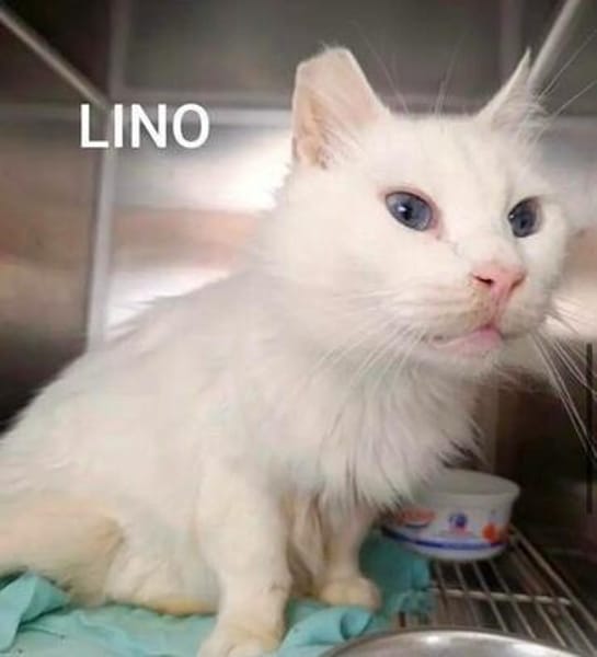 Gemeinsames Zuhause für LOUIS & LINO