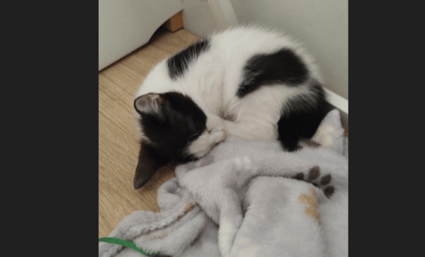 BIANCO