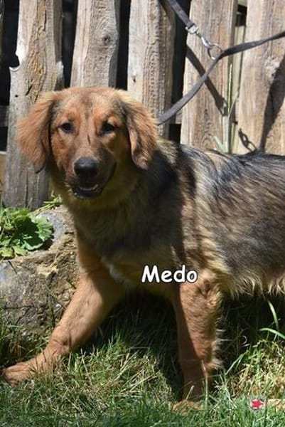 MEDO